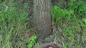Publicagent big tits student sucks and fucks for cash in the forest